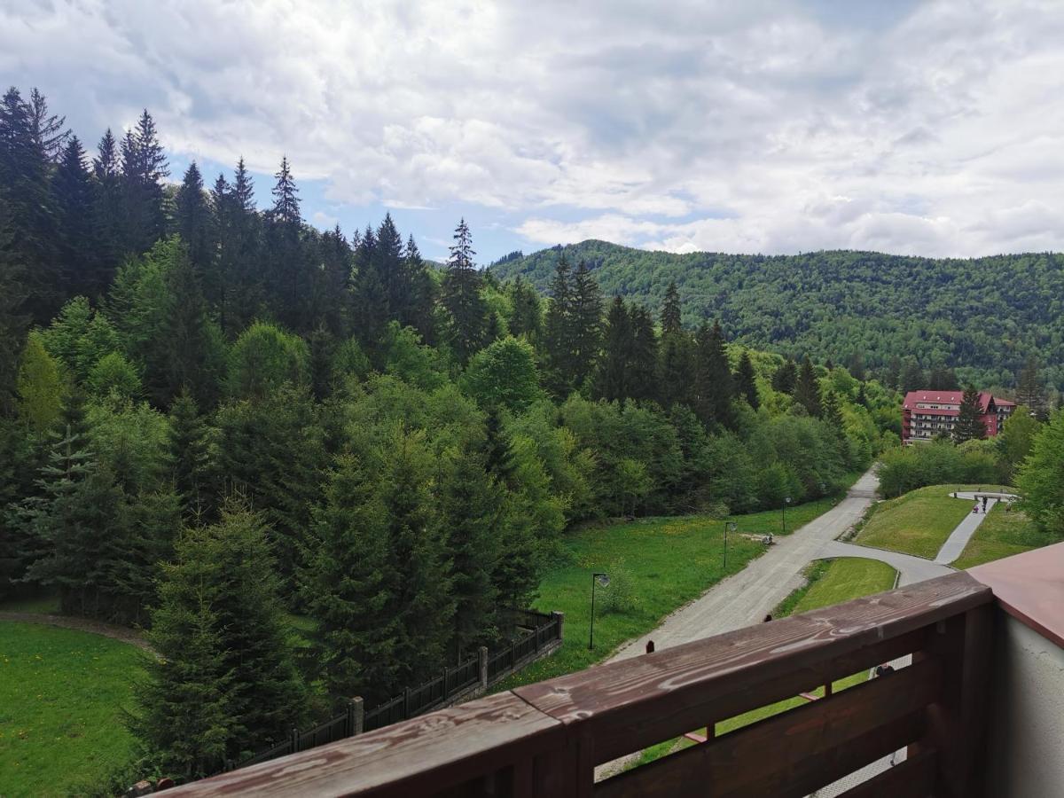 Monte Cervo Bio Hotel & Spa Covasna Exterior photo